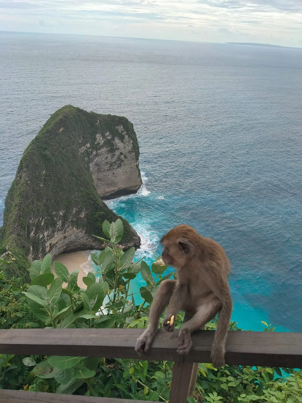 WhatsApp Image 2025-12-13 at 18.37.13 (1)