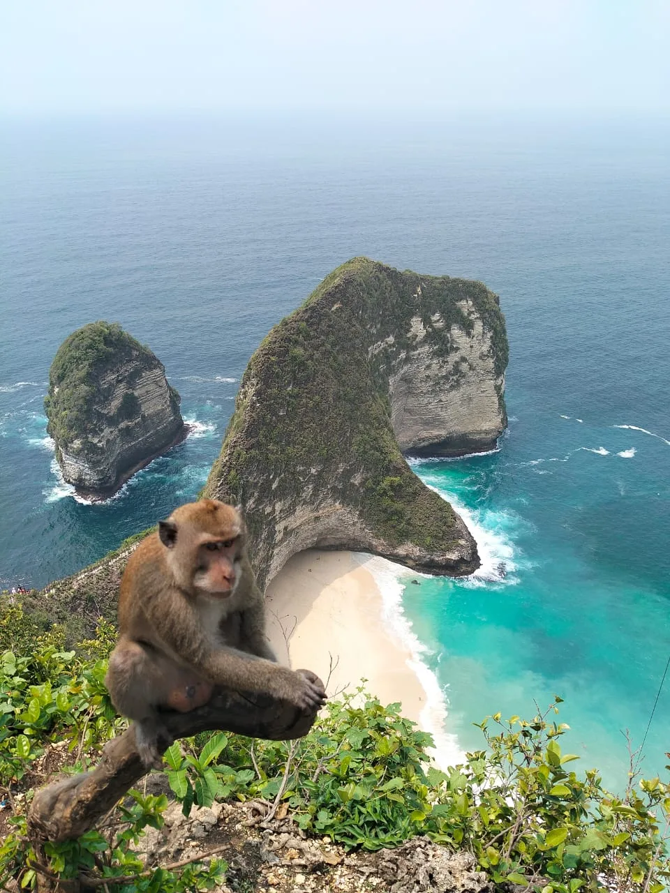 WhatsApp Image 2025-12-13 at 18.37.19 (2)