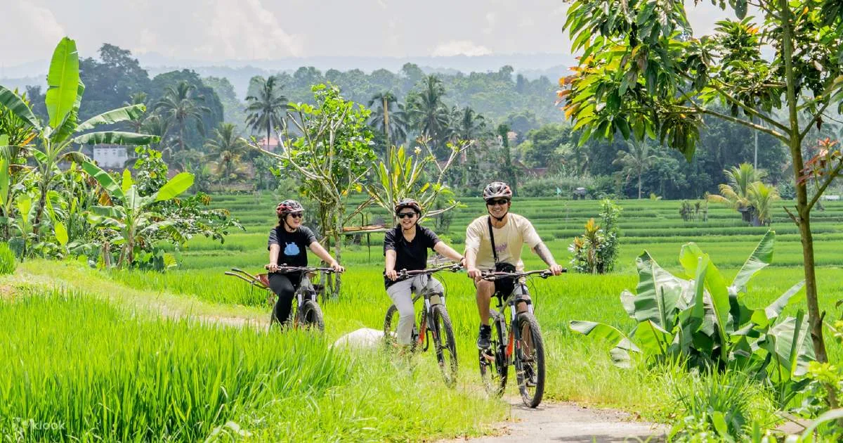 Kintamani Cycling Tour – 1 Day Bali Volcano & Village Ride