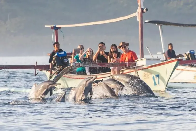 North Bali Lovina Dolphin Watching & Snorkeling Day Trip