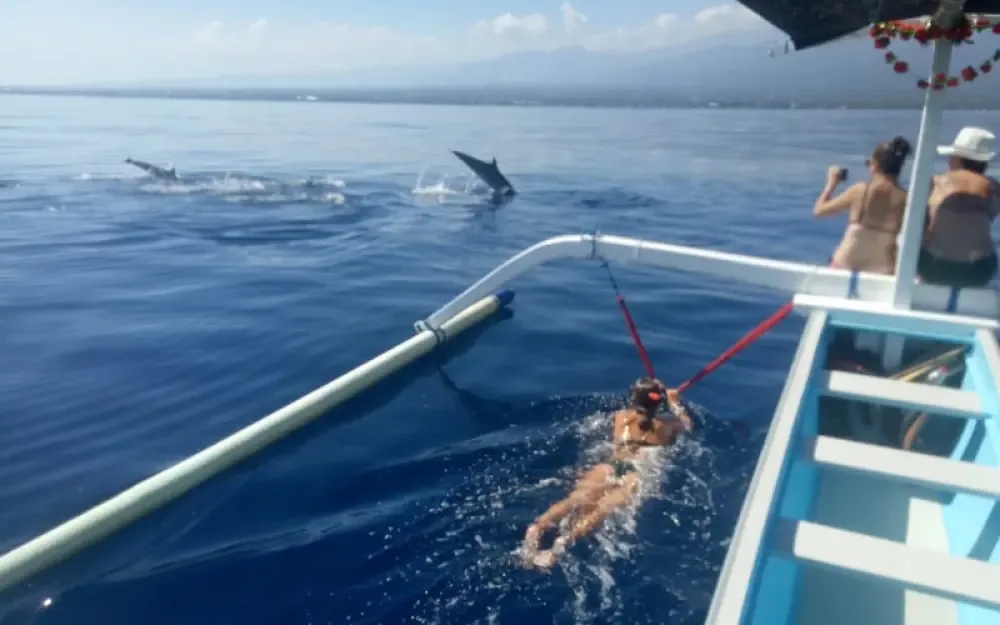 North Bali Lovina Dolphin Watching & Snorkeling Day Trip