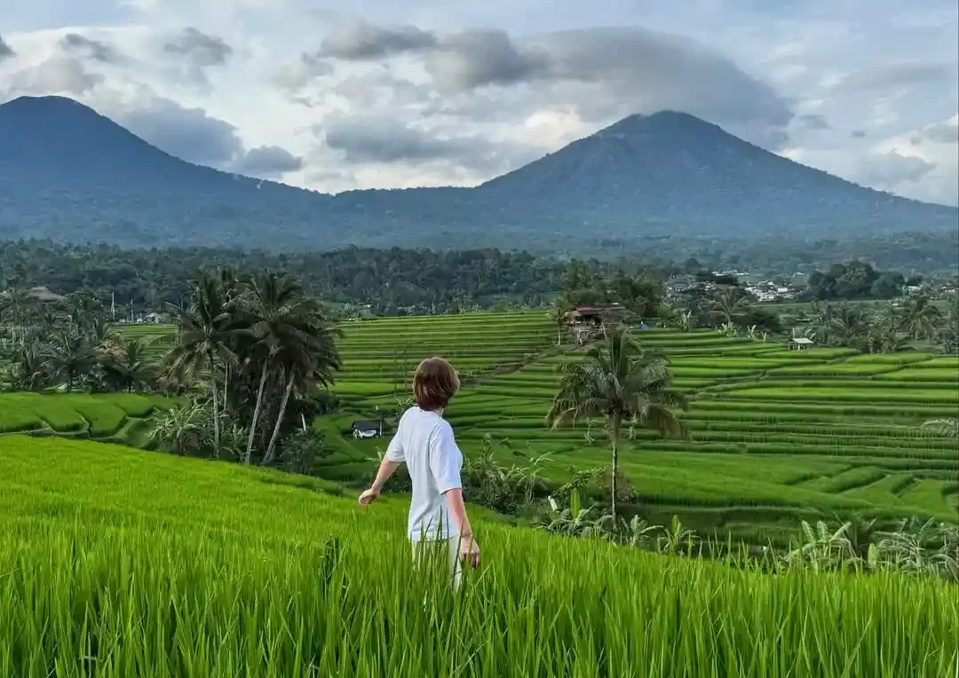 Tabanan North Bali Full-Day Tour – Lake, Waterfalls, Rice Terraces and Tanah Lot Sunset